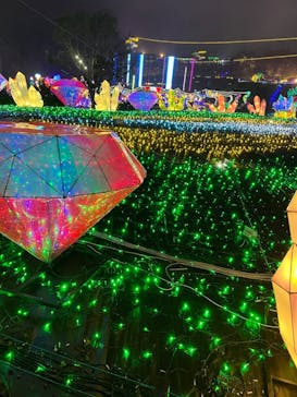 伊豆ぐらんぱる公園に投稿された画像（2024/3/26）