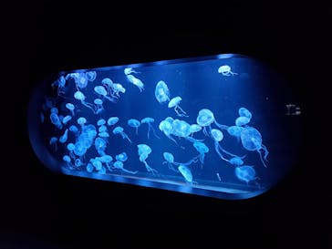 AOAO SAPPOROに投稿された画像（2024/3/26）