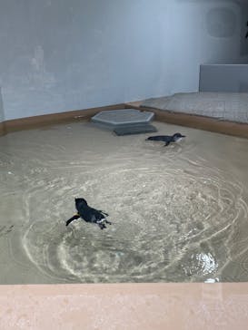 AOAO SAPPOROに投稿された画像（2024/3/26）