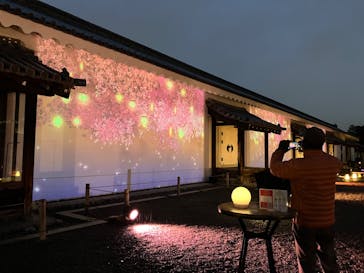 NAKED meets 二条城 2025 観月に投稿された画像（2024/3/26）