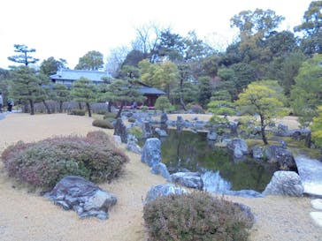 元離宮二条城に投稿された画像（2024/3/26）