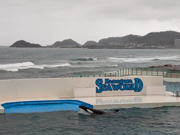 鴨川シーワールドに投稿された画像（2024/3/26）