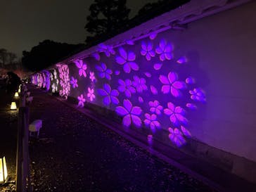 NAKED meets 二条城 2025 観月に投稿された画像（2024/3/27）