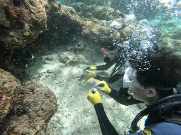 武藤潜水に投稿された画像（2024/3/27）