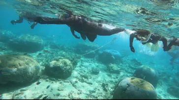 武藤潜水に投稿された画像（2024/3/27）