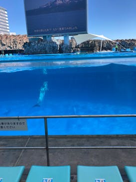 名古屋港水族館に投稿された画像（2024/3/27）