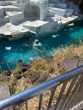 天王寺動物園に投稿された画像（2024/3/27）