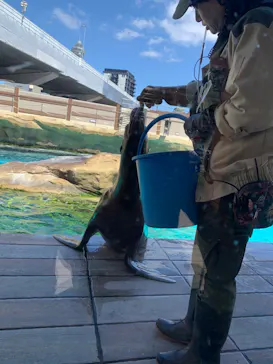 天王寺動物園に投稿された画像（2024/3/27）