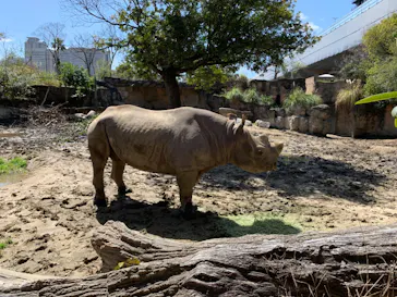天王寺動物園に投稿された画像（2024/3/27）