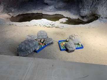 天王寺動物園に投稿された画像（2024/3/27）