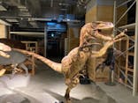 福井県立恐竜博物館に投稿された画像（2024/3/27）