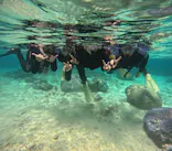 沖縄マリンサービス碧に投稿された画像（2024/3/27）