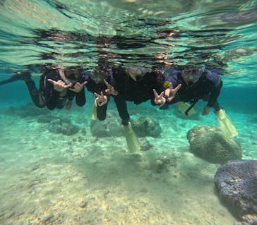 沖縄マリンサービス碧に投稿された画像（2024/3/27）