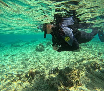 沖縄マリンサービス碧に投稿された画像（2024/3/27）