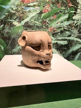 特別展「古代メキシコ ーマヤ、アステカ、テオティワカン」に投稿された画像（2024/3/27）