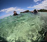 沖縄マリンサービス碧に投稿された画像（2024/3/27）