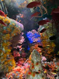サンシャイン水族館に投稿された画像（2024/3/27）