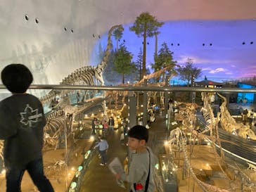 福井県立恐竜博物館に投稿された画像（2024/3/27）