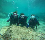 沖縄マリンサービス碧に投稿された画像（2024/3/27）