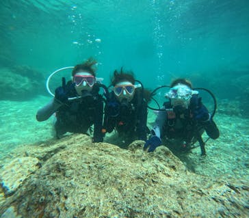 沖縄マリンサービス碧に投稿された画像（2024/3/27）