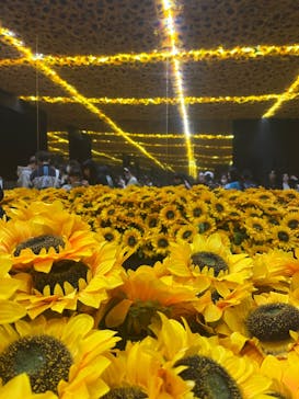 ゴッホ・アライブに投稿された画像（2024/3/27）