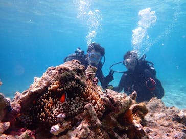 marine assist DEMI（マリンアシストデミ）に投稿された画像（2024/3/27）