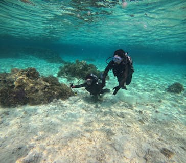 marine assist DEMI（マリンアシストデミ）に投稿された画像（2024/3/27）