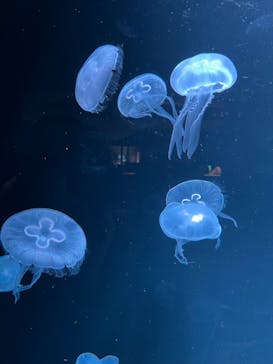 AOAO SAPPOROに投稿された画像（2024/3/27）