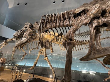 福井県立恐竜博物館に投稿された画像（2024/3/27）