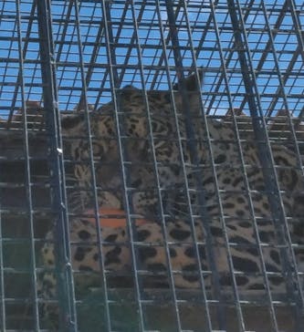 東武動物公園に投稿された画像（2024/3/27）