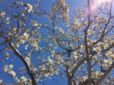 東武動物公園に投稿された画像（2024/3/27）