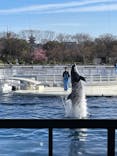 京都水族館に投稿された画像（2024/3/27）