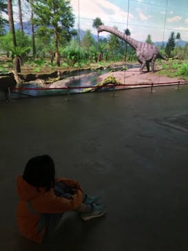 福井県立恐竜博物館に投稿された画像（2024/3/27）