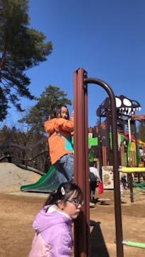 福井県立恐竜博物館に投稿された画像（2024/3/27）