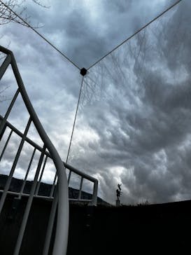 彫刻の森美術館に投稿された画像（2024/3/27）