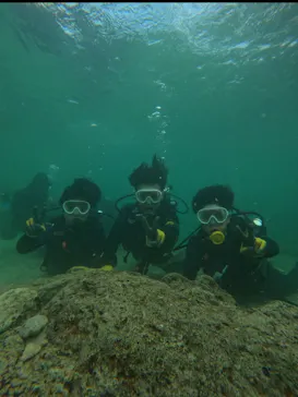 武藤潜水に投稿された画像（2024/3/27）