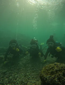 武藤潜水に投稿された画像（2024/3/27）