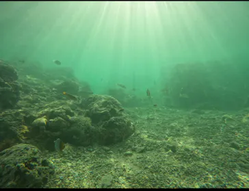 武藤潜水に投稿された画像（2024/3/27）