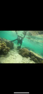 武藤潜水に投稿された画像（2024/3/27）