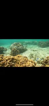 武藤潜水に投稿された画像（2024/3/27）