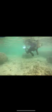 武藤潜水に投稿された画像（2024/3/27）