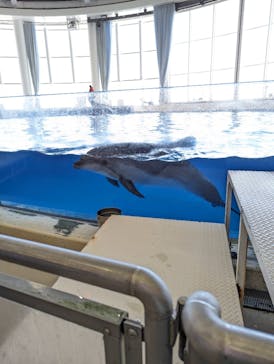 アクアワールド茨城県大洗水族館に投稿された画像（2024/3/27）