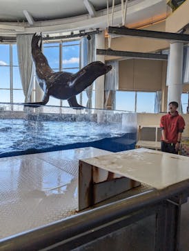 アクアワールド茨城県大洗水族館に投稿された画像（2024/3/27）