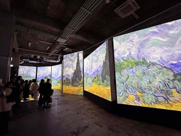 ゴッホ・アライブに投稿された画像（2024/3/27）