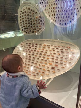 国立科学博物館に投稿された画像（2024/3/27）