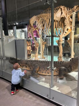 国立科学博物館に投稿された画像（2024/3/27）