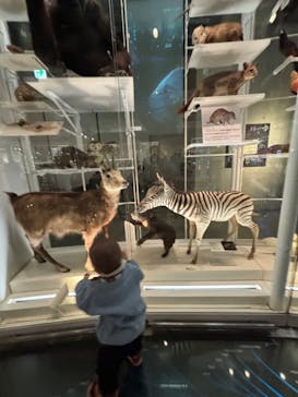 国立科学博物館に投稿された画像（2024/3/27）