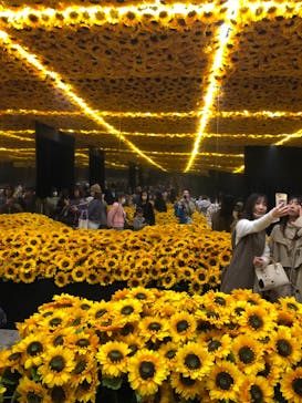 ゴッホ・アライブに投稿された画像（2024/3/27）