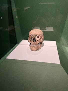 特別展「古代メキシコ ーマヤ、アステカ、テオティワカン」に投稿された画像（2024/3/27）