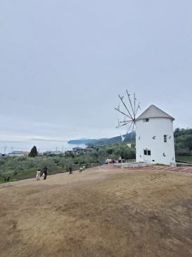 島めぐり観光バスに投稿された画像（2024/3/27）